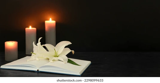 Jamey Cutelis Tewksbury MA Death, Obituary – Community Mourns Beloved Massachusetts Resident